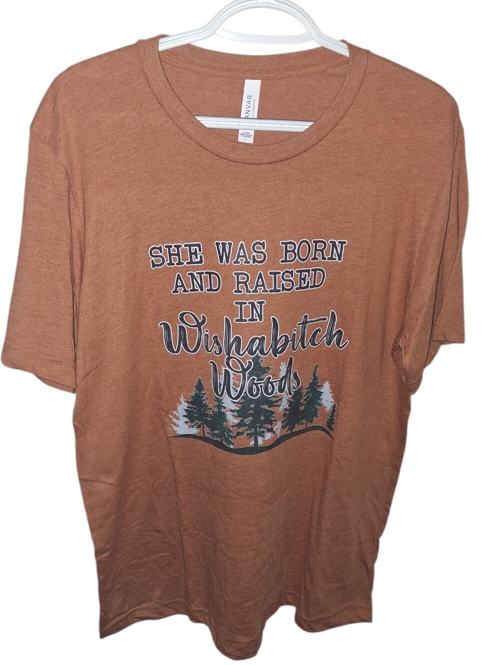 Bella Canvas Funny Graphic Tee
